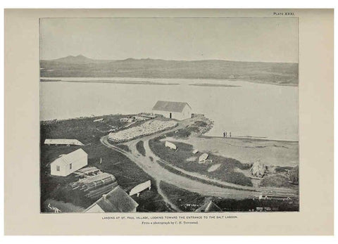 Reproducción/Reproduction 6305638543: The fur seals and fur-seal islands of the North Pacific Ocean. v.3. Washington,Govt. Print. Off.,1898-99