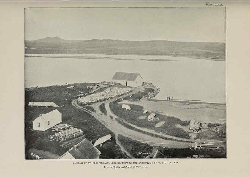 Reproducción/Reproduction 6305638543: The fur seals and fur-seal islands of the North Pacific Ocean. v.3. Washington,Govt. Print. Off.,1898-99