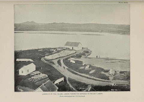 Reproducción/Reproduction 6305638543: The fur seals and fur-seal islands of the North Pacific Ocean. v.3. Washington,Govt. Print. Off.,1898-99