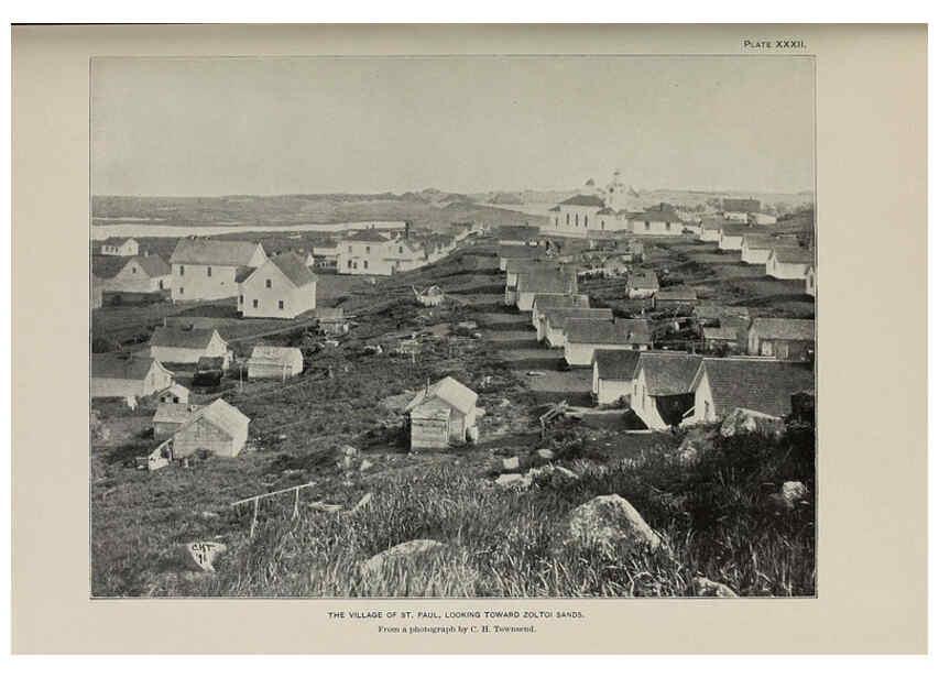 Reproducción/Reproduction 6305638715: The fur seals and fur-seal islands of the North Pacific Ocean. v.3. Washington,Govt. Print. Off.,1898-99