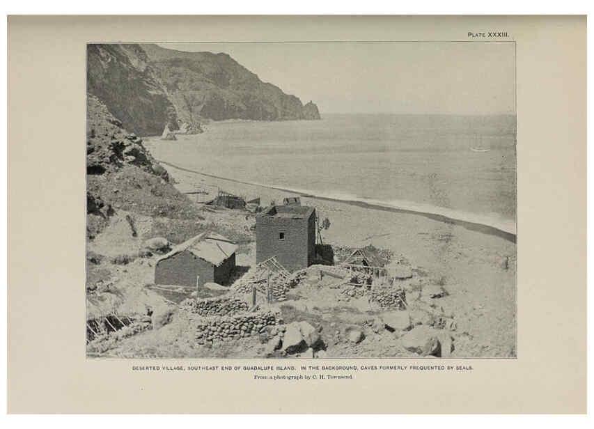 Reproducción/Reproduction 6305638907: The fur seals and fur-seal islands of the North Pacific Ocean. v.3. Washington,Govt. Print. Off.,1898-99