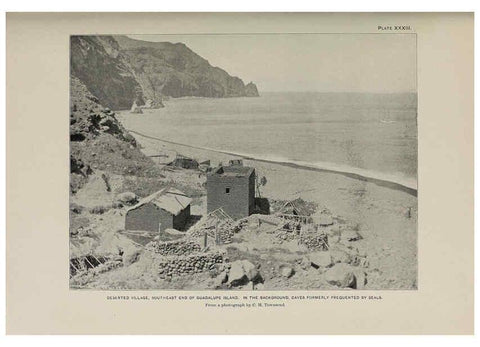 Reproducción/Reproduction 6305638907: The fur seals and fur-seal islands of the North Pacific Ocean. v.3. Washington,Govt. Print. Off.,1898-99