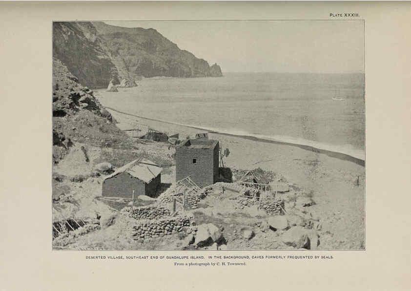 Reproducción/Reproduction 6305638907: The fur seals and fur-seal islands of the North Pacific Ocean. v.3. Washington,Govt. Print. Off.,1898-99