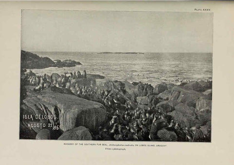 Reproducción/Reproduction 6306162850: The fur seals and fur-seal islands of the North Pacific Ocean. v.3. Washington,Govt. Print. Off.,1898-99