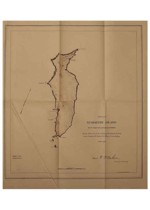 Reproducción/Reproduction 6305639485: The fur seals and fur-seal islands of the North Pacific Ocean. v.3. Washington,Govt. Print. Off.,1898-99