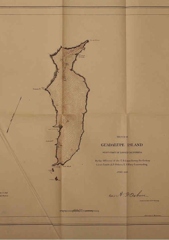 Reproducción/Reproduction 6305639485: The fur seals and fur-seal islands of the North Pacific Ocean. v.3. Washington,Govt. Print. Off.,1898-99
