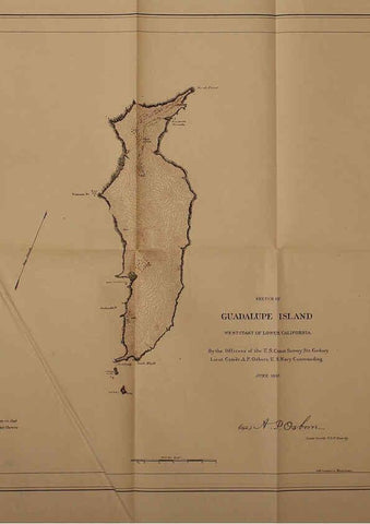 Reproducción/Reproduction 6305639485: The fur seals and fur-seal islands of the North Pacific Ocean. v.3. Washington,Govt. Print. Off.,1898-99