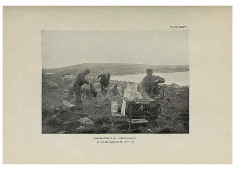 Reproducción/Reproduction 6306163354: The fur seals and fur-seal islands of the North Pacific Ocean. v.3. Washington,Govt. Print. Off.,1898-99