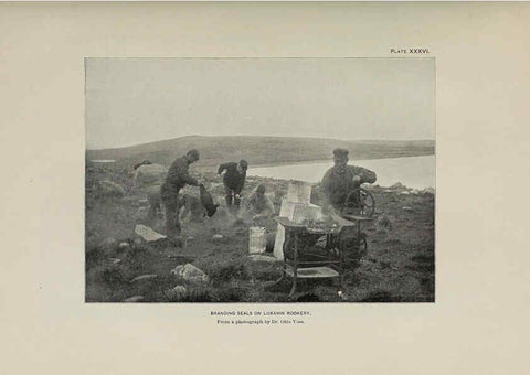 Reproducción/Reproduction 6306163354: The fur seals and fur-seal islands of the North Pacific Ocean. v.3. Washington,Govt. Print. Off.,1898-99