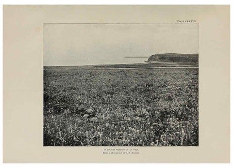 Reproducción/Reproduction 6306173470: The fur seals and fur-seal islands of the North Pacific Ocean. v.3. Washington,Govt. Print. Off.,1898-99