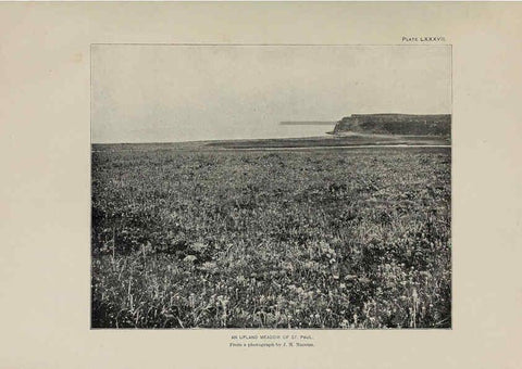 Reproducción/Reproduction 6306173470: The fur seals and fur-seal islands of the North Pacific Ocean. v.3. Washington,Govt. Print. Off.,1898-99