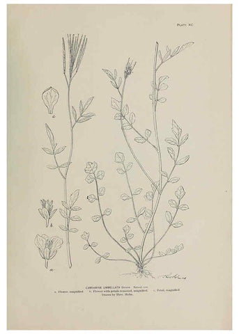 Reproducción/Reproduction 6305650571: The fur seals and fur-seal islands of the North Pacific Ocean. v.3. Washington,Govt. Print. Off.,1898-99