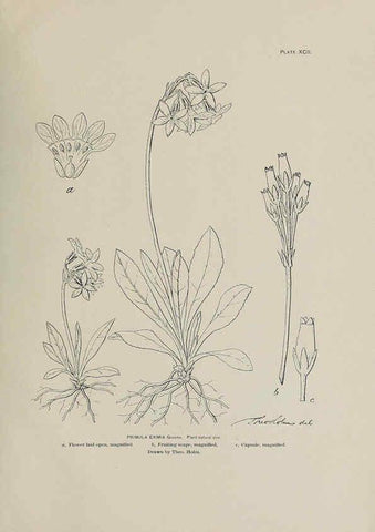 Reproducción/Reproduction 6306174372: The fur seals and fur-seal islands of the North Pacific Ocean. v.3. Washington,Govt. Print. Off.,1898-99