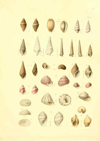 Reproducción/Reproduction 6306244040: Donum Bismarckianum Berlin,F. Berggold,1871