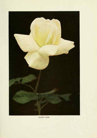 Reproducción/Reproduction 6308656887: The practical book of outdoor rose growing for the home garden Philadelphia and London,J.B. Lippincott, Co.,1920