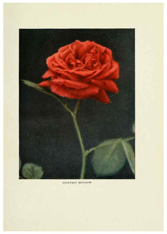 Reproducción/Reproduction 6308658423: The practical book of outdoor rose growing for the home garden Philadelphia and London,J.B. Lippincott, Co.,1920