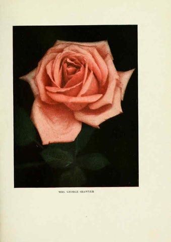 Reproducción/Reproduction 6309176574: The practical book of outdoor rose growing for the home garden Philadelphia and London,J.B. Lippincott, Co.,1920