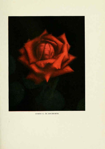 Reproducción/Reproduction 6308655833: The practical book of outdoor rose growing for the home garden Philadelphia and London,J.B. Lippincott, Co.,1920