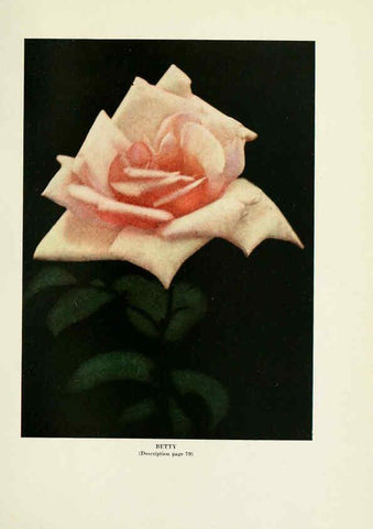 Reproducción/Reproduction 6308663545: The practical book of outdoor rose growing for the home garden Philadelphia and London,J.B. Lippincott, Co.,1920