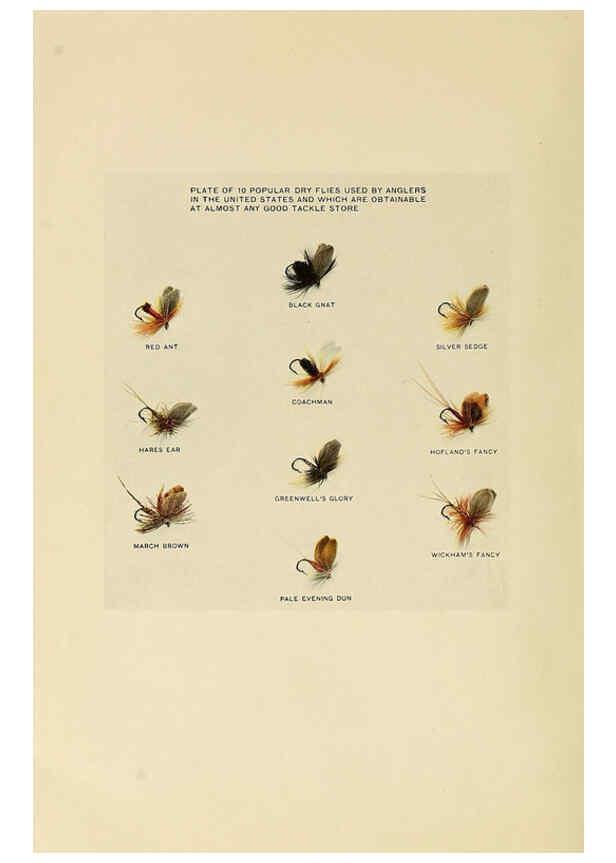Reproducción/Reproduction 6309074584: Trout fly-fishing in America New York,E. P. Dutton & company,1914