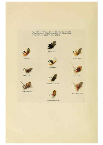 Reproducción/Reproduction 6309074584: Trout fly-fishing in America New York,E. P. Dutton & company,1914