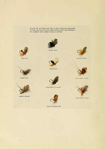 Reproducción/Reproduction 6309074584: Trout fly-fishing in America New York,E. P. Dutton & company,1914