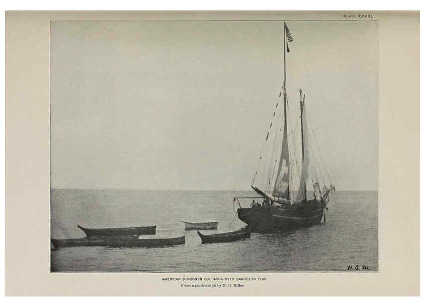Reproducción/Reproduction 6305638053: The fur seals and fur-seal islands of the North Pacific Ocean. v.3. Washington,Govt. Print. Off.,1898-99