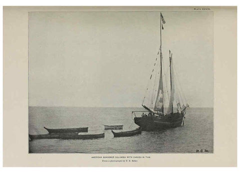Reproducción/Reproduction 6305638053: The fur seals and fur-seal islands of the North Pacific Ocean. v.3. Washington,Govt. Print. Off.,1898-99