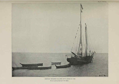 Reproducción/Reproduction 6305638053: The fur seals and fur-seal islands of the North Pacific Ocean. v.3. Washington,Govt. Print. Off.,1898-99