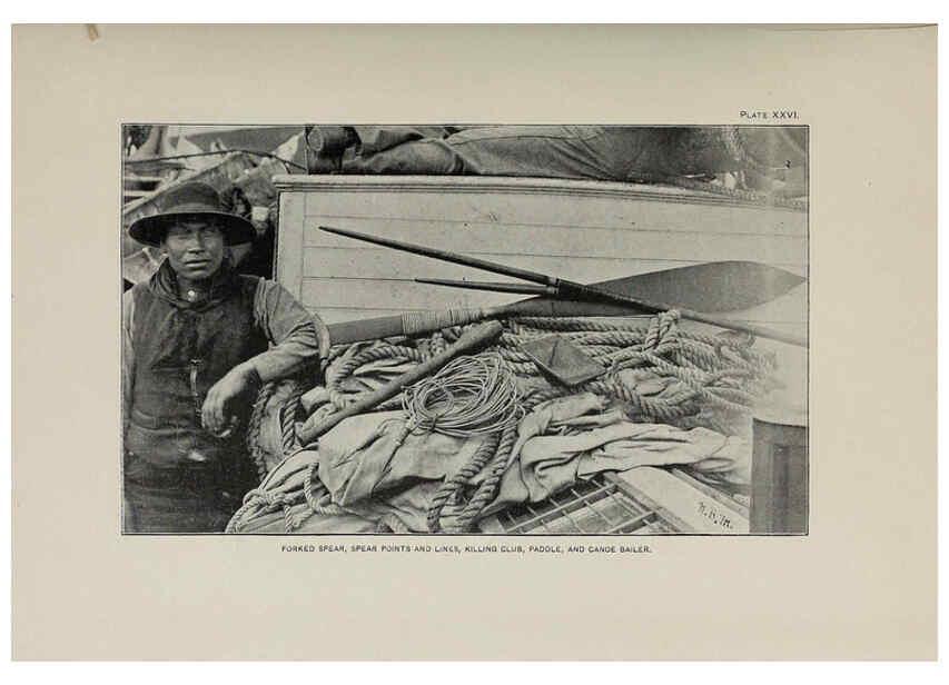 Reproducción/Reproduction 6305637647: The fur seals and fur-seal islands of the North Pacific Ocean. v.3. Washington,Govt. Print. Off.,1898-99