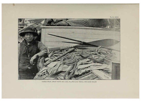 Reproducción/Reproduction 6305637647: The fur seals and fur-seal islands of the North Pacific Ocean. v.3. Washington,Govt. Print. Off.,1898-99