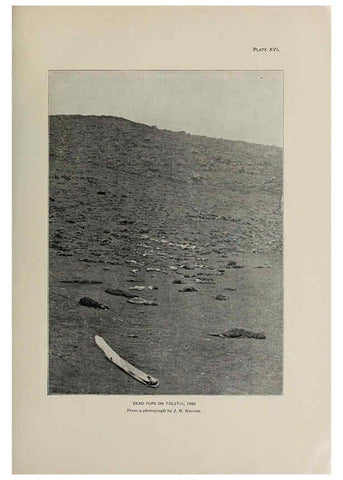 Reproducción/Reproduction 6305635143: The fur seals and fur-seal islands of the North Pacific Ocean. v.3. Washington,Govt. Print. Off.,1898-99