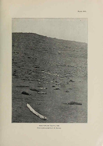Reproducción/Reproduction 6305635143: The fur seals and fur-seal islands of the North Pacific Ocean. v.3. Washington,Govt. Print. Off.,1898-99