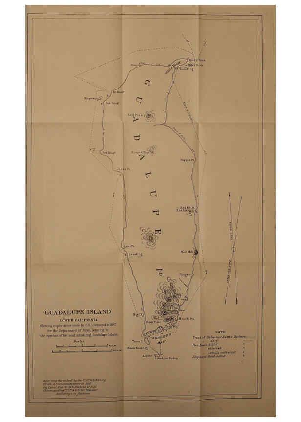 Reproducción/Reproduction 6306160210: The fur seals and fur-seal islands of the North Pacific Ocean. v.3. Washington,Govt. Print. Off.,1898-99
