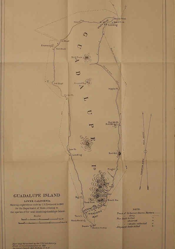 Reproducción/Reproduction 6306160210: The fur seals and fur-seal islands of the North Pacific Ocean. v.3. Washington,Govt. Print. Off.,1898-99