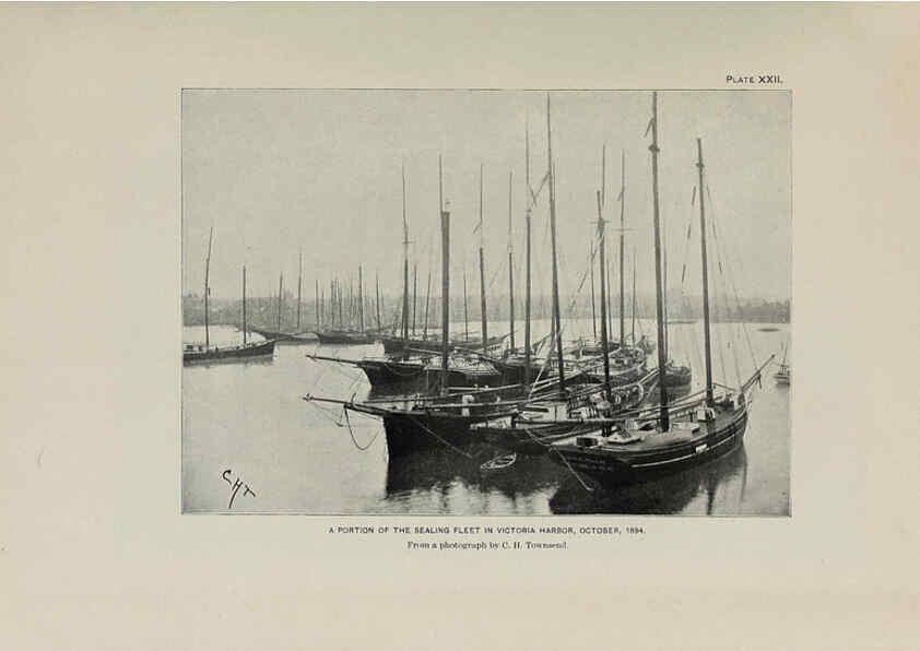 Reproducción/Reproduction 6306160404: The fur seals and fur-seal islands of the North Pacific Ocean. v.3. Washington,Govt. Print. Off.,1898-99