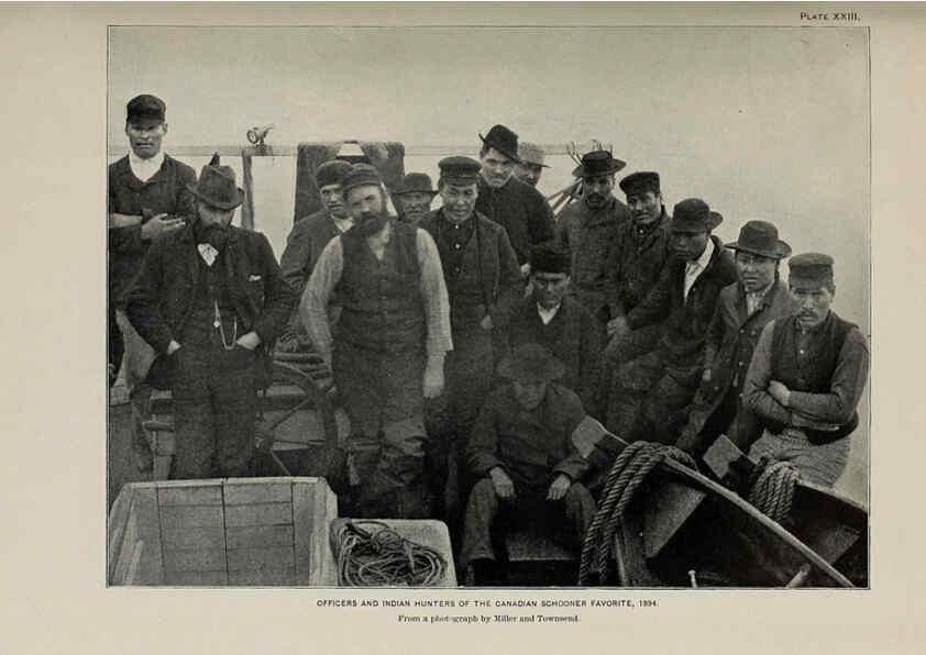 Reproducción/Reproduction 6305637105: The fur seals and fur-seal islands of the North Pacific Ocean. v.3. Washington,Govt. Print. Off.,1898-99