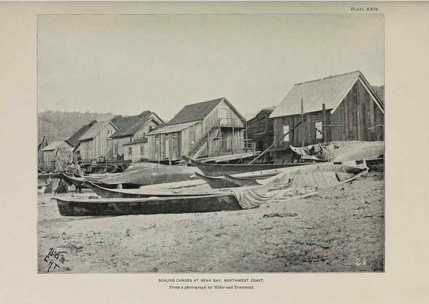 Reproducción/Reproduction 6305637291: The fur seals and fur-seal islands of the North Pacific Ocean. v.3. Washington,Govt. Print. Off.,1898-99