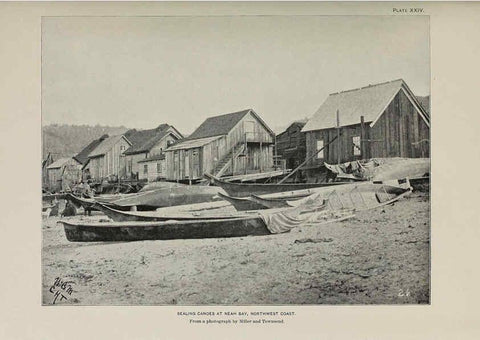 Reproducción/Reproduction 6305637291: The fur seals and fur-seal islands of the North Pacific Ocean. v.3. Washington,Govt. Print. Off.,1898-99