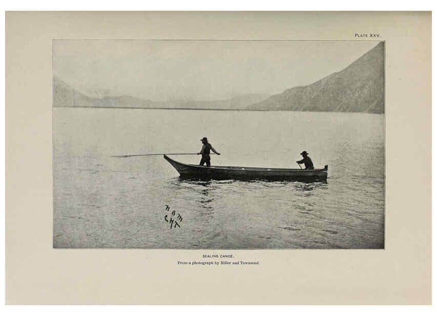 Reproducción/Reproduction 6306160994: The fur seals and fur-seal islands of the North Pacific Ocean. v.3. Washington,Govt. Print. Off.,1898-99