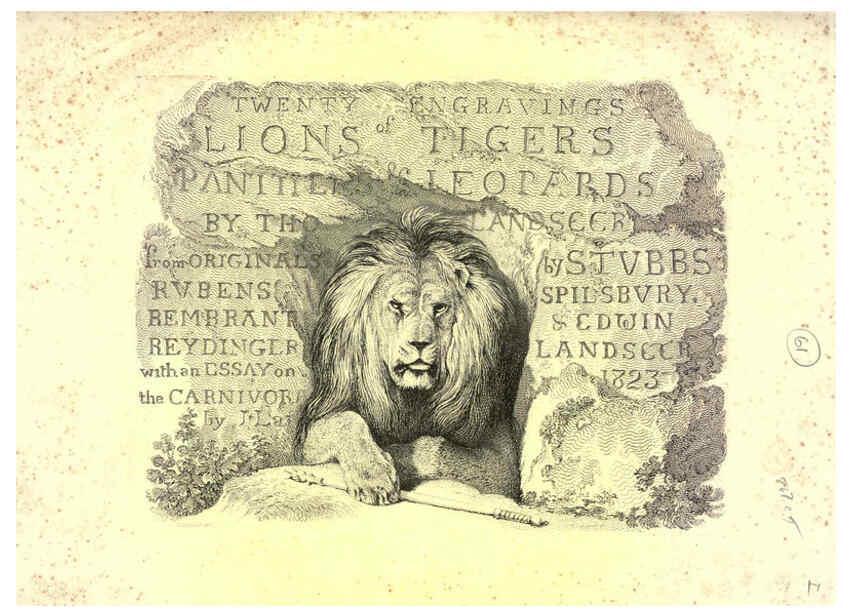Reproducción/Reproduction 6305526521: Engravings of lions, tigers, panthers, leopards, dogs, &c. London,H.G. Bohn,1853