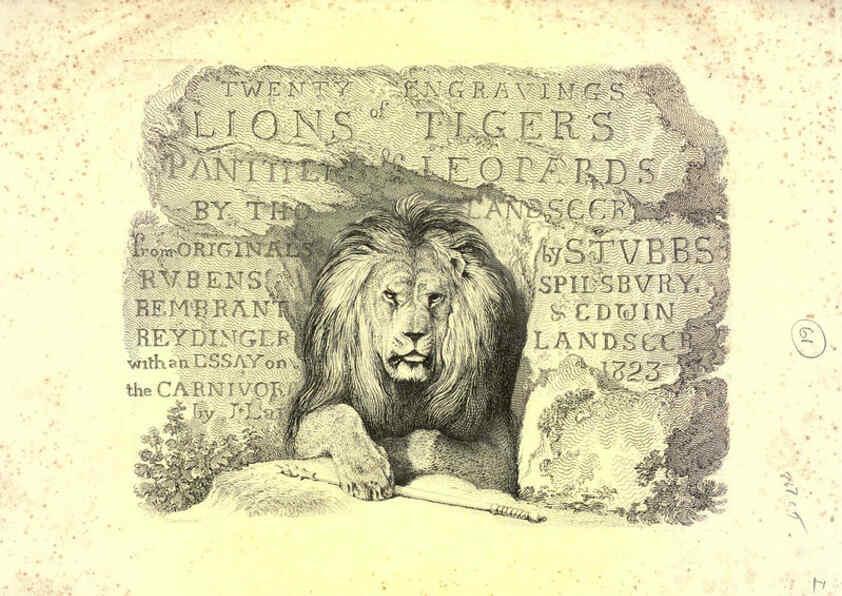 Reproducción/Reproduction 6305526521: Engravings of lions, tigers, panthers, leopards, dogs, &c. London,H.G. Bohn,1853
