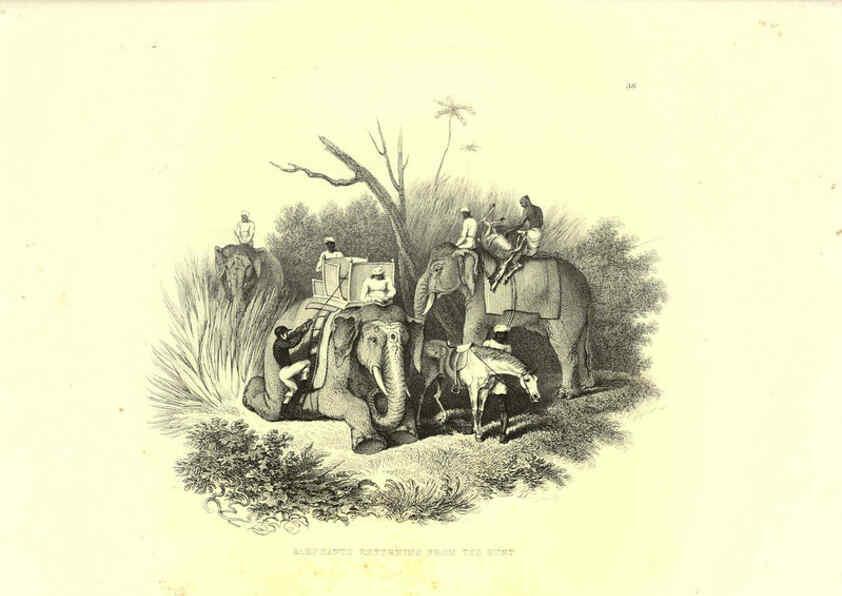 Reproducción/Reproduction 6305532893: Engravings of lions, tigers, panthers, leopards, dogs, &c. London,H.G. Bohn,1853