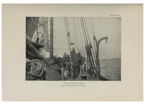 Reproducción/Reproduction 6306161406: The fur seals and fur-seal islands of the North Pacific Ocean. v.3. Washington,Govt. Print. Off.,1898-99