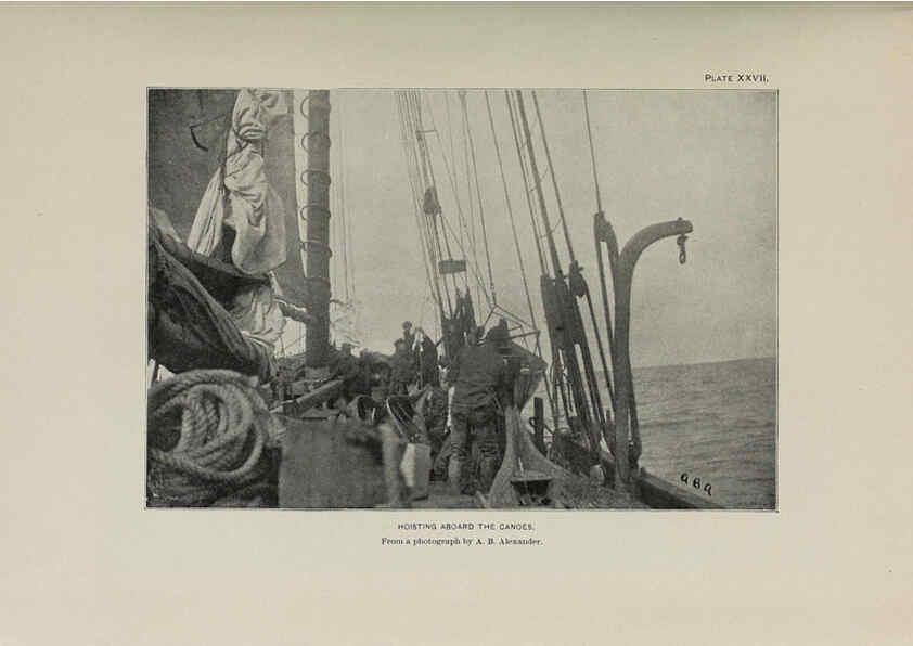 Reproducción/Reproduction 6306161406: The fur seals and fur-seal islands of the North Pacific Ocean. v.3. Washington,Govt. Print. Off.,1898-99