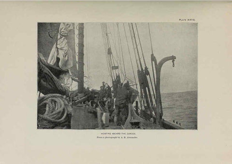 Reproducción/Reproduction 6306161406: The fur seals and fur-seal islands of the North Pacific Ocean. v.3. Washington,Govt. Print. Off.,1898-99