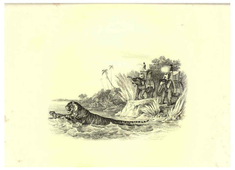 Reproducción/Reproduction 6305532775: Engravings of lions, tigers, panthers, leopards, dogs, &c. London,H.G. Bohn,1853