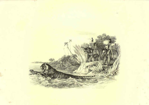 Reproducción/Reproduction 6305532775: Engravings of lions, tigers, panthers, leopards, dogs, &c. London,H.G. Bohn,1853