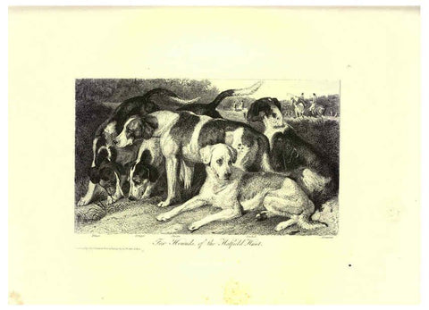 Reproducción/Reproduction 6305530919: Engravings of lions, tigers, panthers, leopards, dogs, &c. London,H.G. Bohn,1853