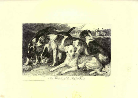 Reproducción/Reproduction 6305530919: Engravings of lions, tigers, panthers, leopards, dogs, &c. London,H.G. Bohn,1853